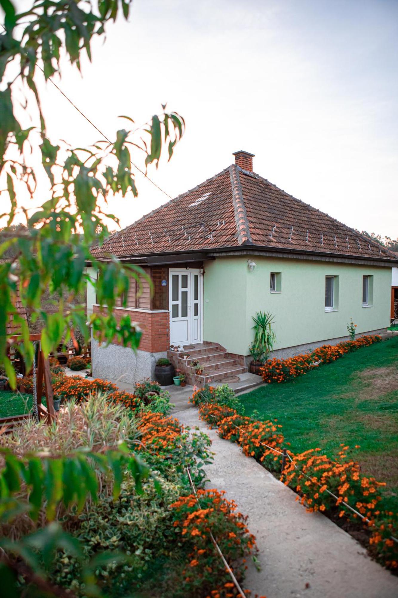 Willa Prenociste Lelic Valjevo Zewnętrze zdjęcie